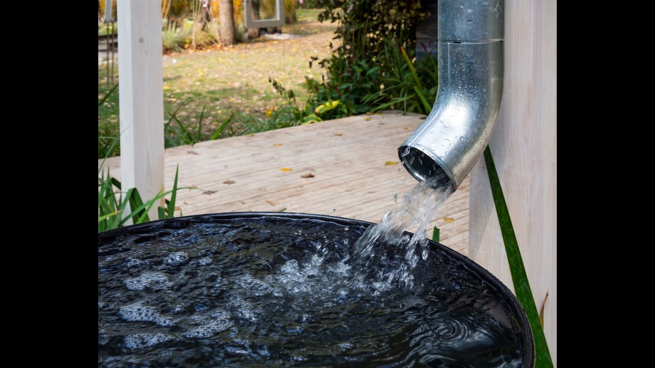 Rainwater Harvesting Explained 🌧