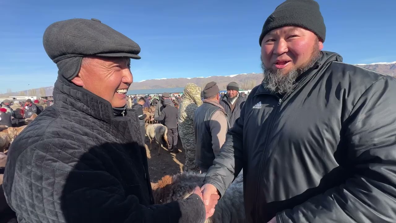 Мал базар Талас шаары