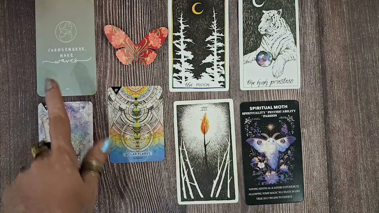 Message For The ✨CREATOR✨ In You  //  Butterfly 🦋 or 🦜 Bird?