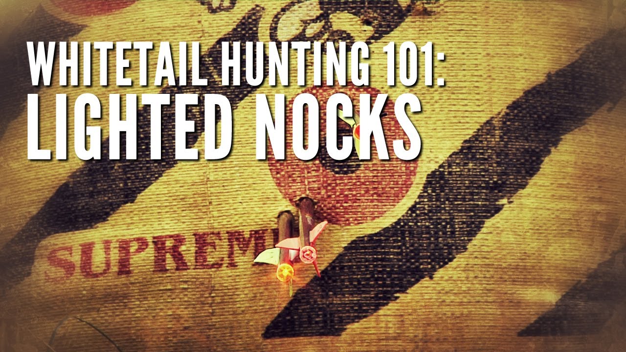 Whitetail Hunting 101: Lighted Nock Product Review - Lumenok vs. Tracer & more