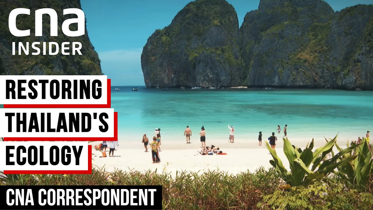 Thailand's Ecological Efforts To Protect Coastlines From Over-Tourism | CNA Correspondent