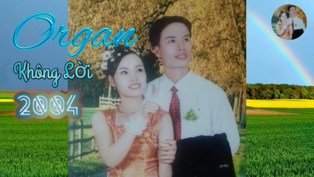 Organ kh&ocirc;ng lời 2004
