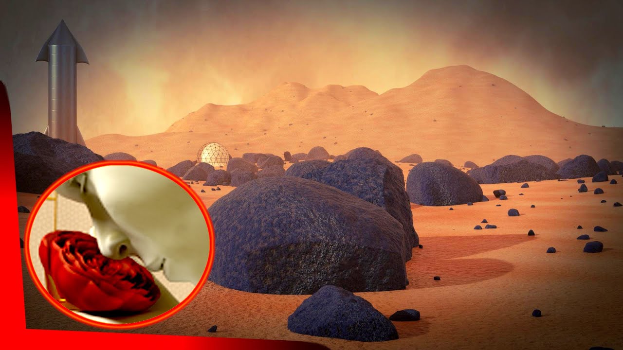 Martian Environment with Windblown Dust Effect - Blender Tutorial