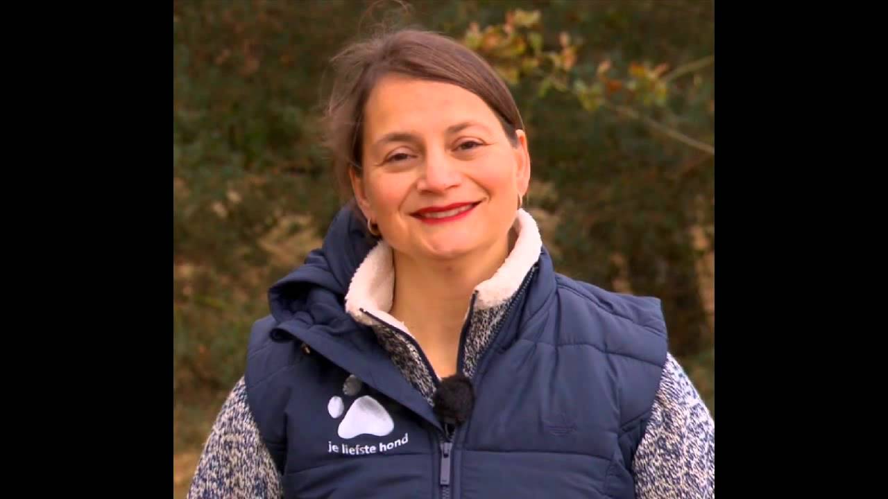Zindelijkheidstraining