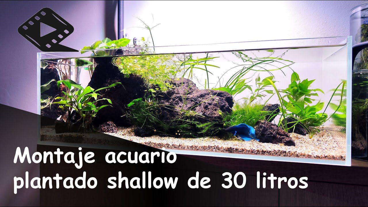 Nano Acuario Plantado Shallow de 30 Litros - (Cinematic Video)