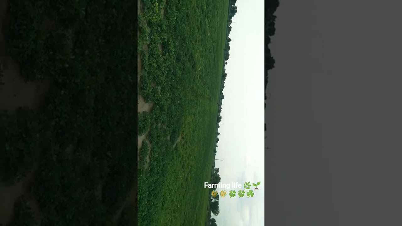 #farming