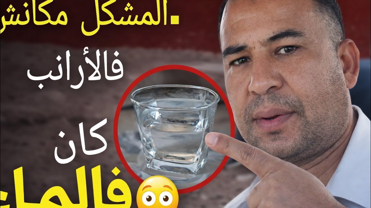 برنامج فضل البادية : المشكل مكانش  فالارانب .......فالماء 