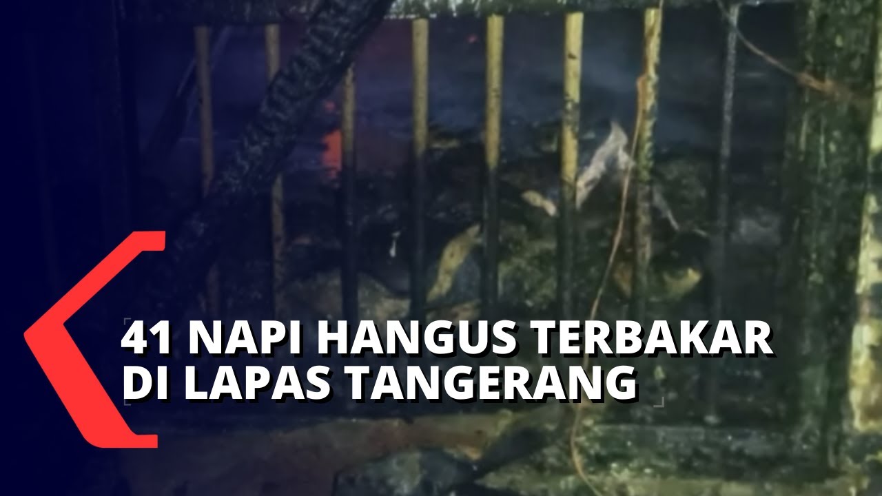 Menkumham Duga Kebakaran Lapas Tangerang Karena Instalasi Listrik