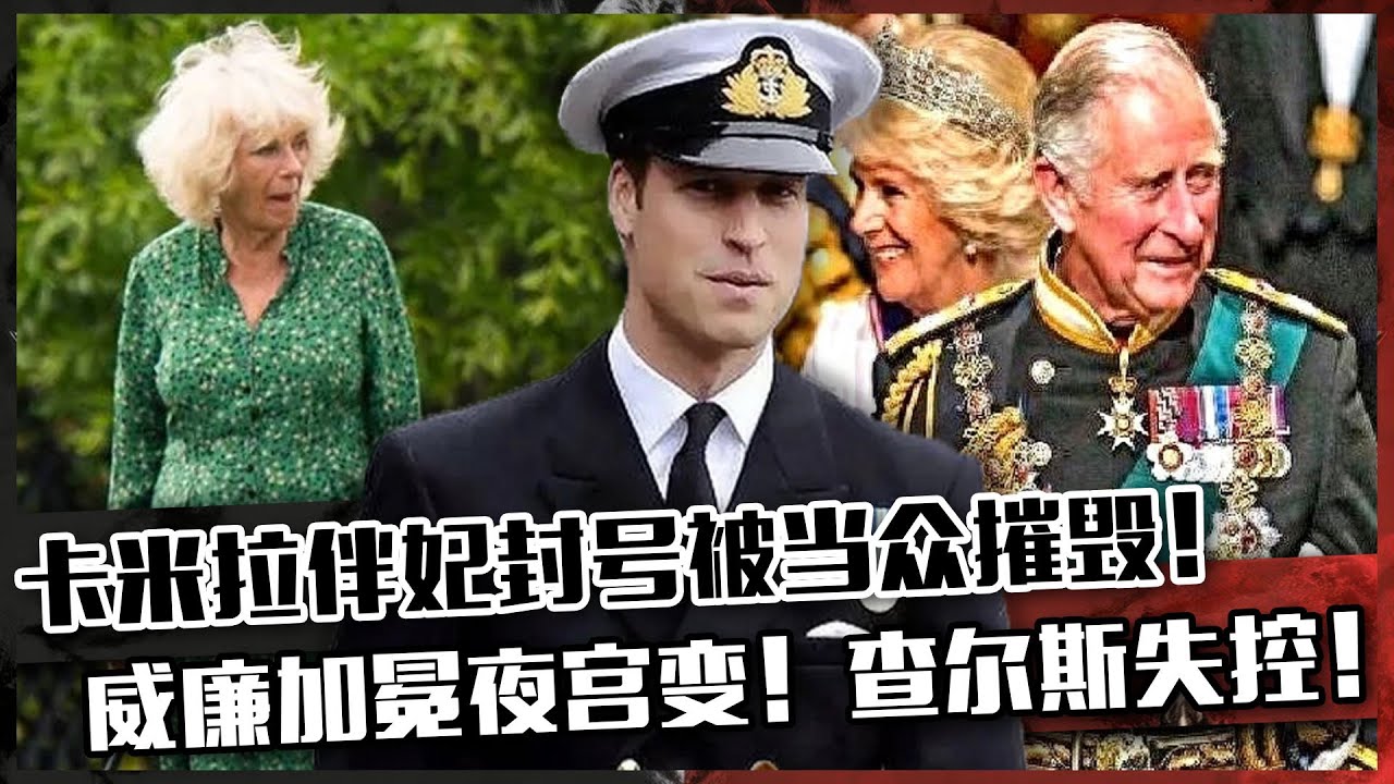 威廉加冕夜宮變升級，卡米拉伴妃封號被當眾摧毀，查爾斯失控怒吼：你連戴安娜的狗都不配！背后隱藏什么陰謀？#威廉#加冕#宮變#卡米拉#查爾斯#戴安娜#