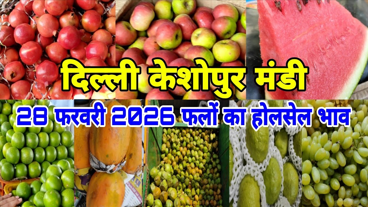 28 Feb 2026 फल का थोक भाव। Today fruits market price #keshopurmandi #fruit