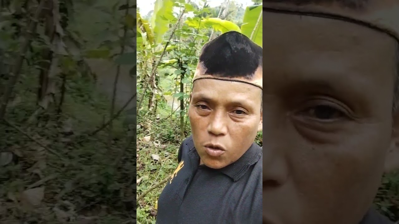kalau butuh #like #komen #share #subscriber