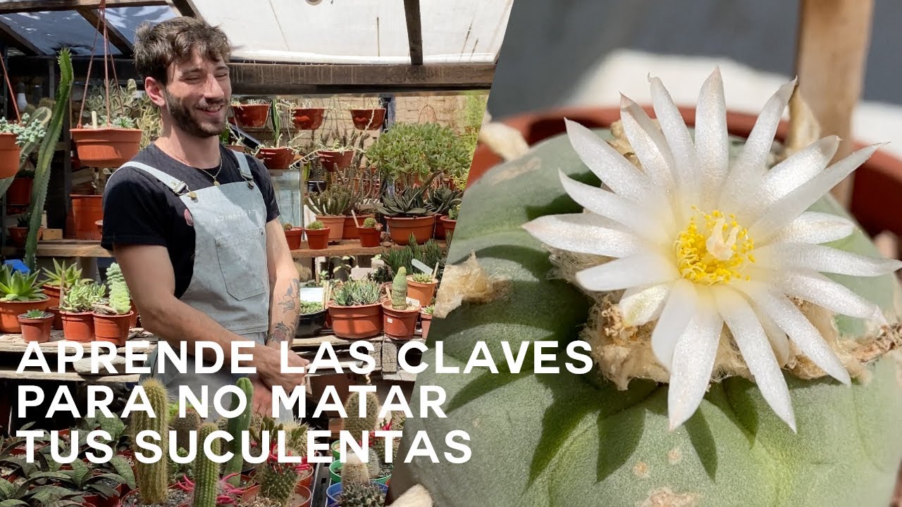 Tour de Cactus, Crasas, Suculentas🌵 ¡Hablamos con un Experto! Parte 2