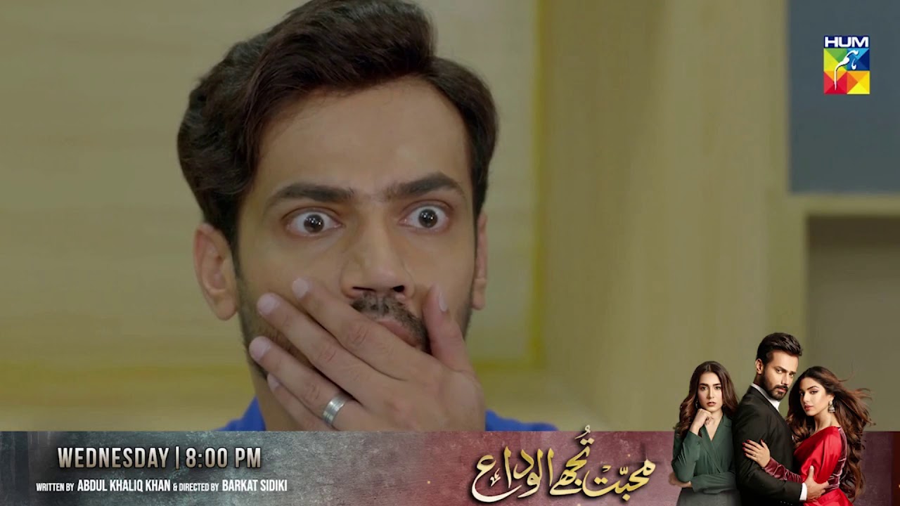 Mohabbat Tujhe Alvida | Best Moment | HUM TV | Drama