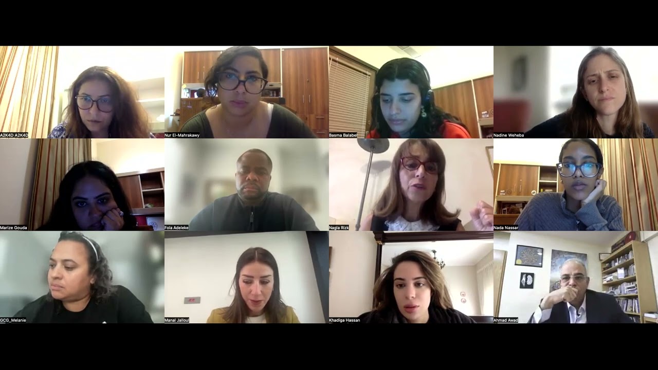 AI, Gender and Work: Perspectives from the Middle East and Africa