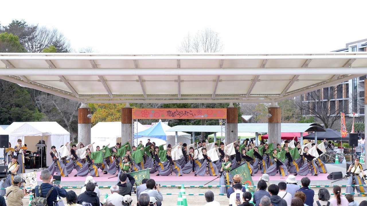 【同志社大学よさこいサークル「よさ朗」】第20回 京都さくらよさこい 2024