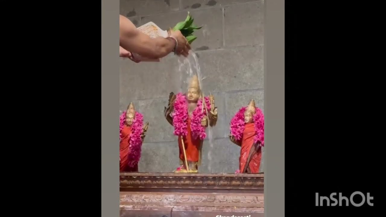 🔔🌺 அருள்மிகு முருகன் அபிஷேகம் 
