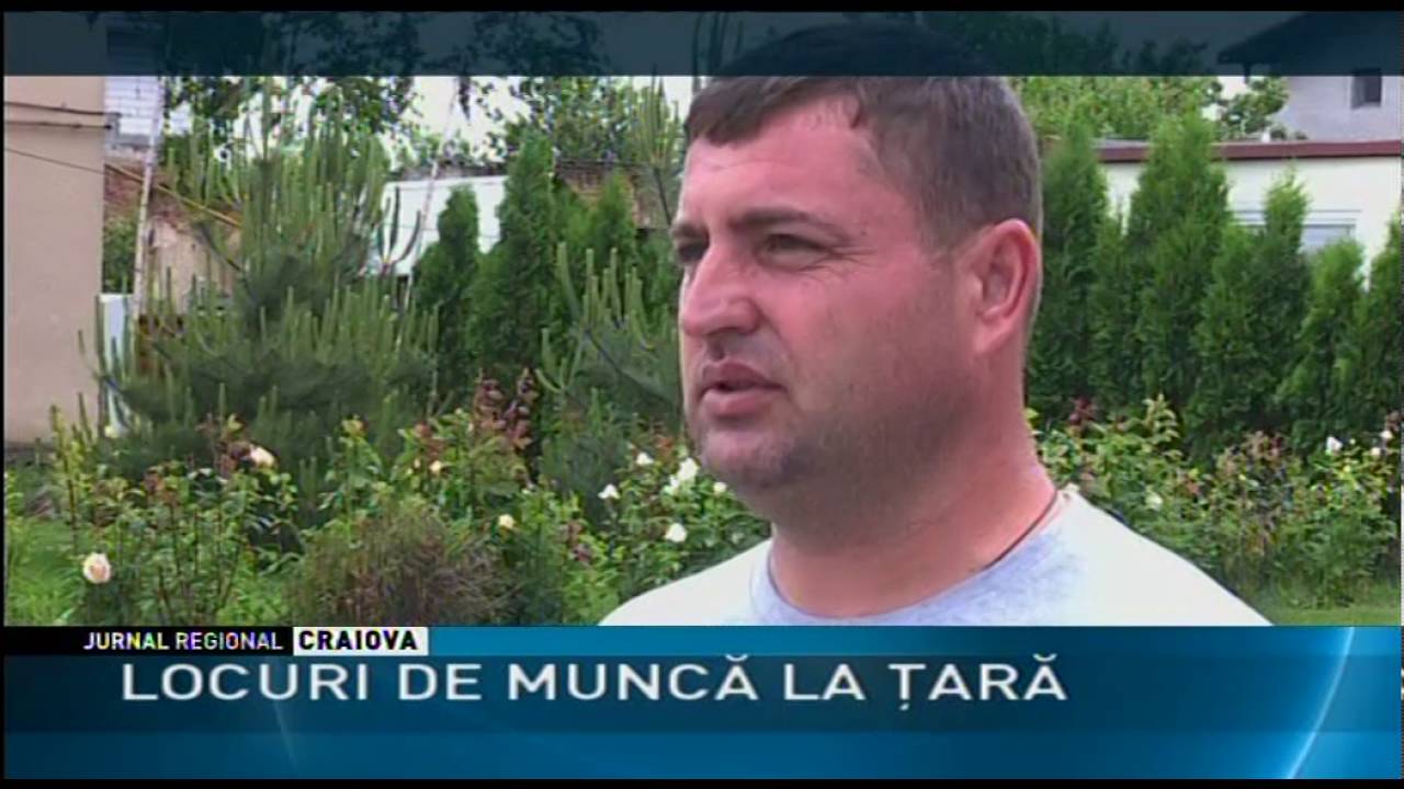 LOCURI DE MUNCĂ LA ŢARĂ