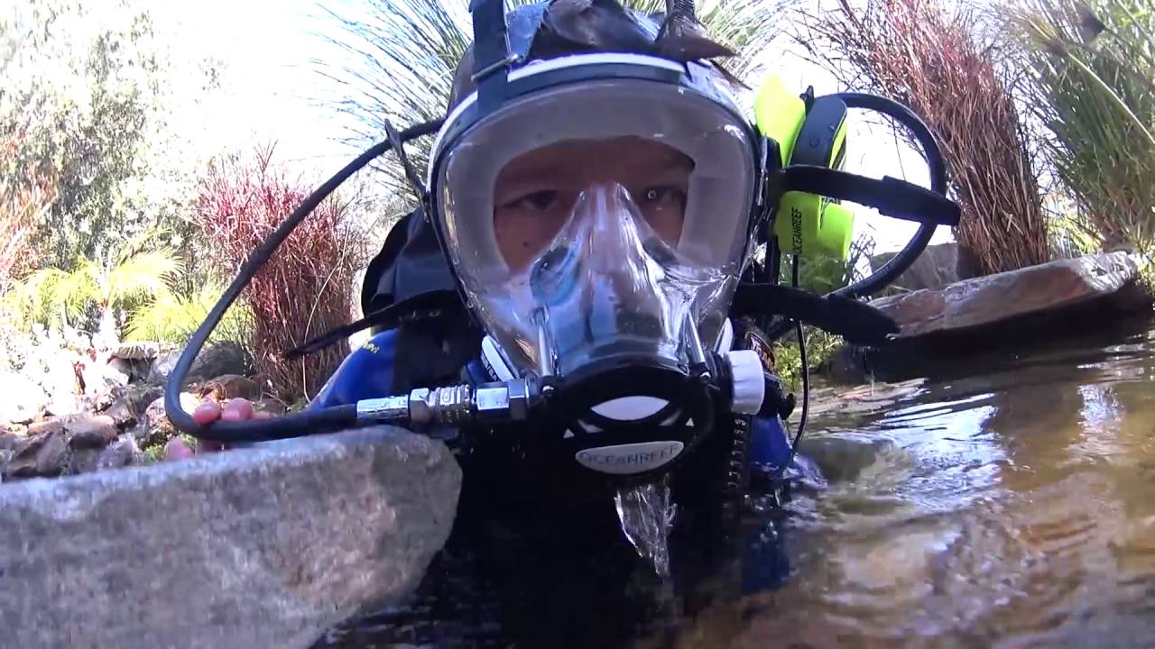 Ocean Reef Full Face Mask - MicroActivist Easter Egg Pond Dive 2016