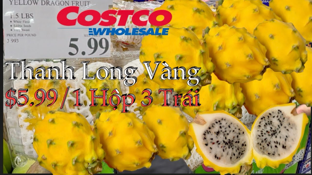 Thanh Long Vàng Đang Hạ Giá  Ở Costco $5.99 Một Hộp 3 Trái Rất Lớn Và Ngon - Yellow Dragon Fruits.