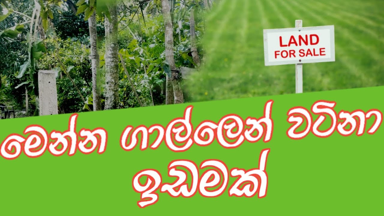 මෙන්න ගාල්ලෙන් වටිනා ඉඩමක් | Land for sale in galle | land for sale 