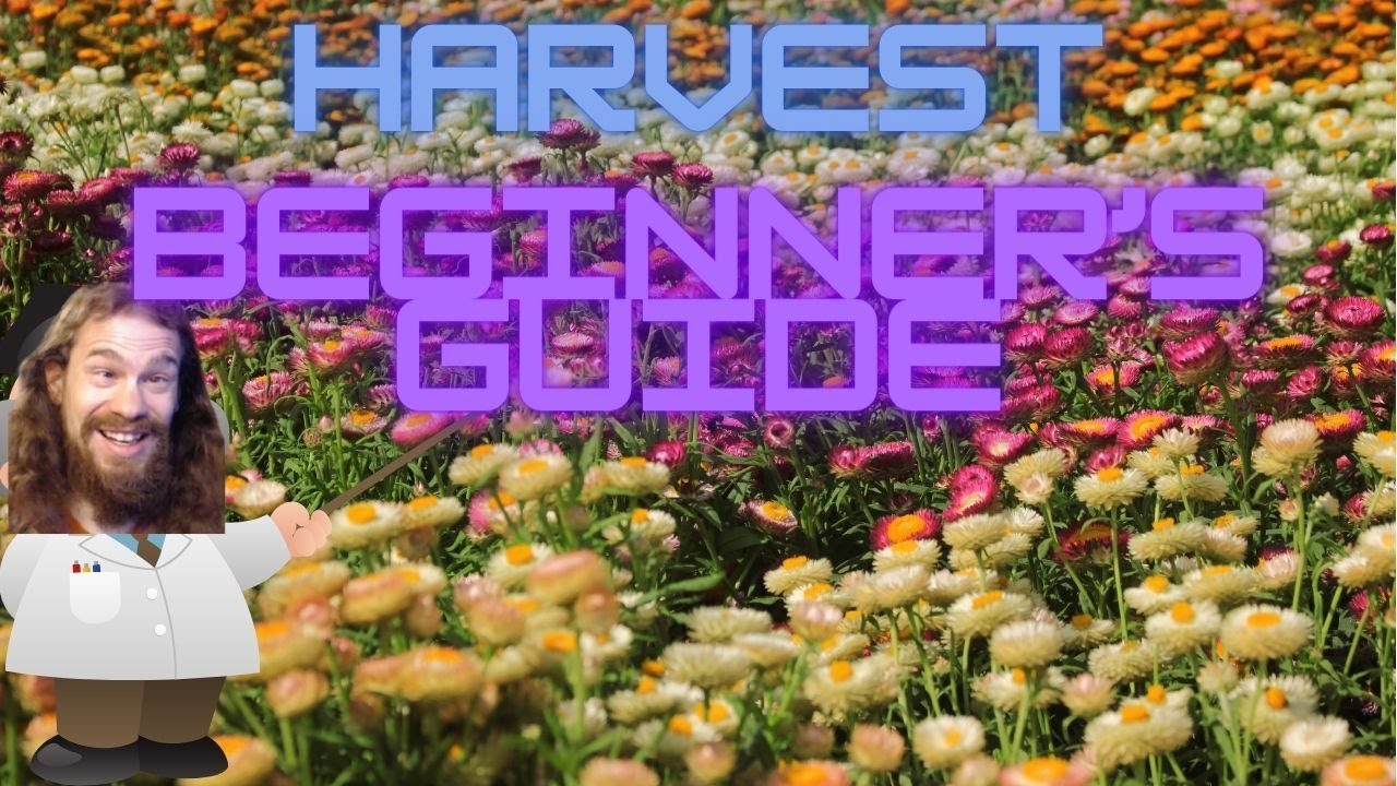 Path of Exile 3.23 - Harvest Beginner's Guide