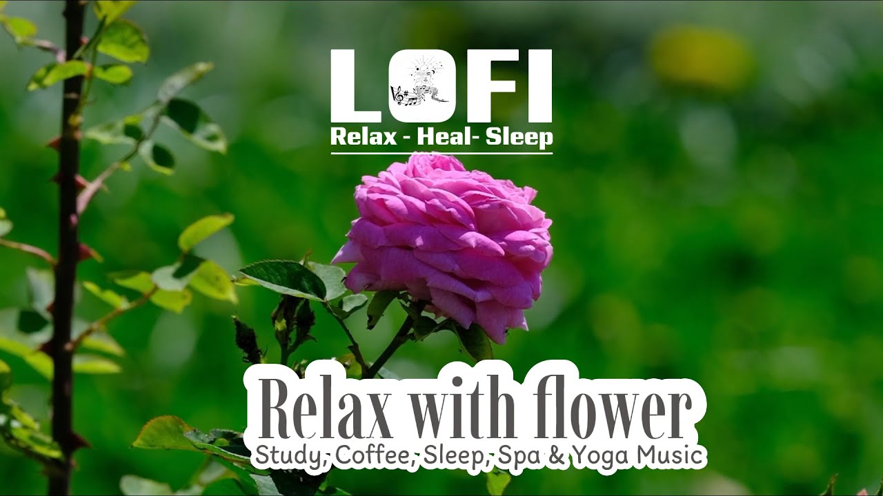 24/7 Flower Nature Lofi & Relaxing Music 🌿 Forest Ambience for Sleep, Study, Focus & Healing