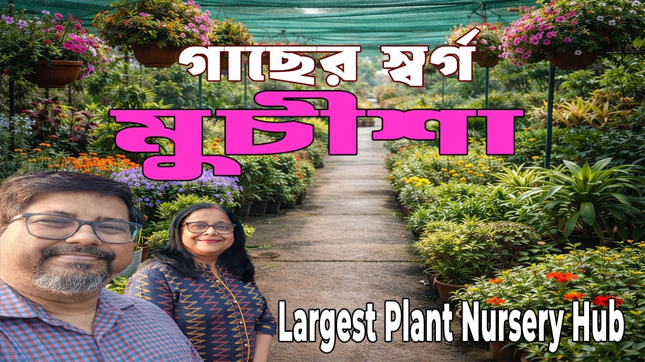 মুচিশা নার্সারি হাব ট্যুর | হাজারো গাছ এক জায়গায় | Budget Day Trip |A Green Paradise Near Kolkata
