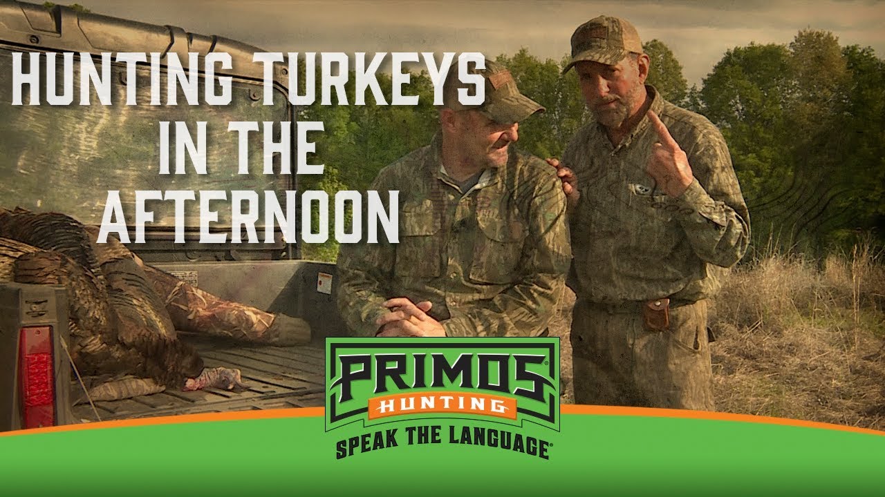 Hunting Turkeys in the Afternoon