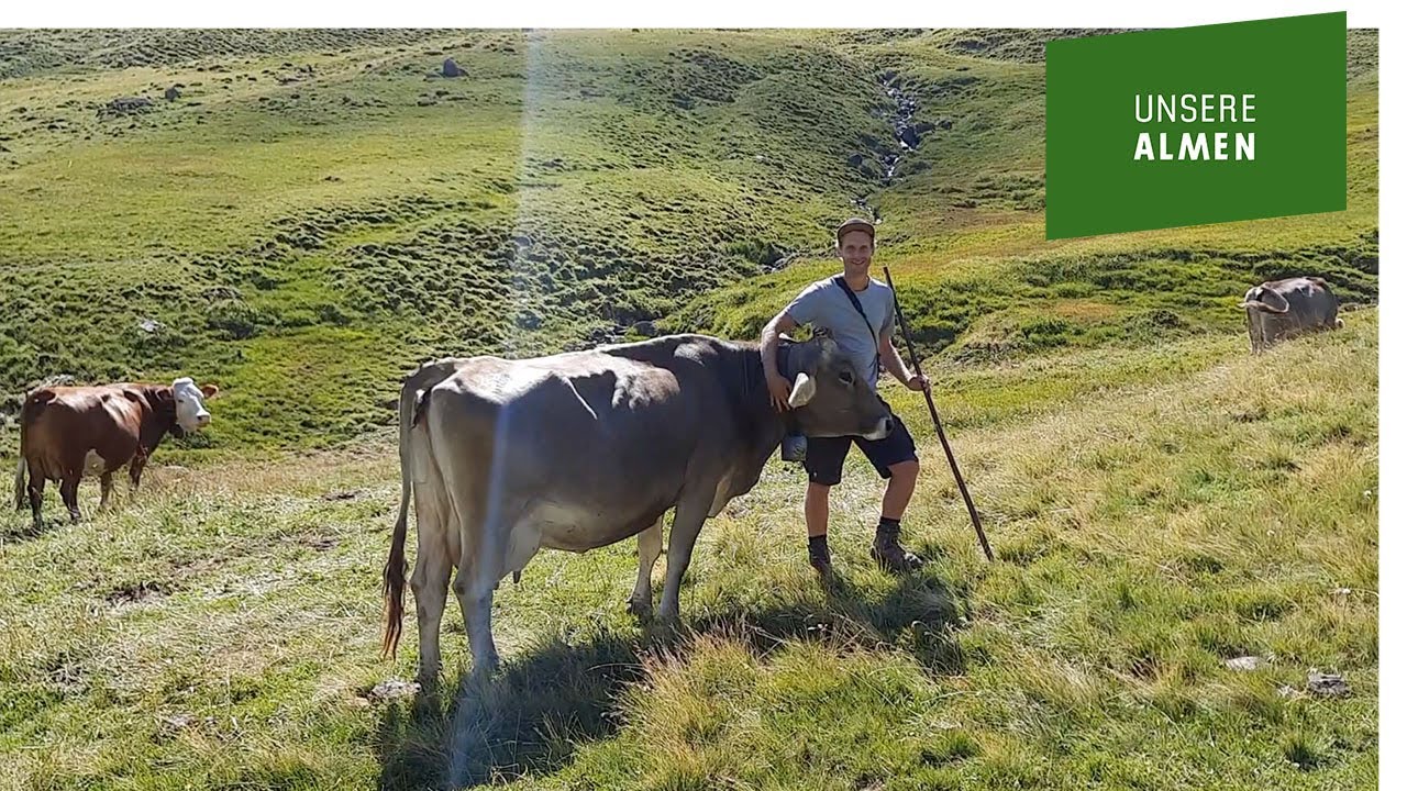 Der Traumjob auf der Alpe Zanders im Tiroler Oberland - Patrick Schlatter berichtet