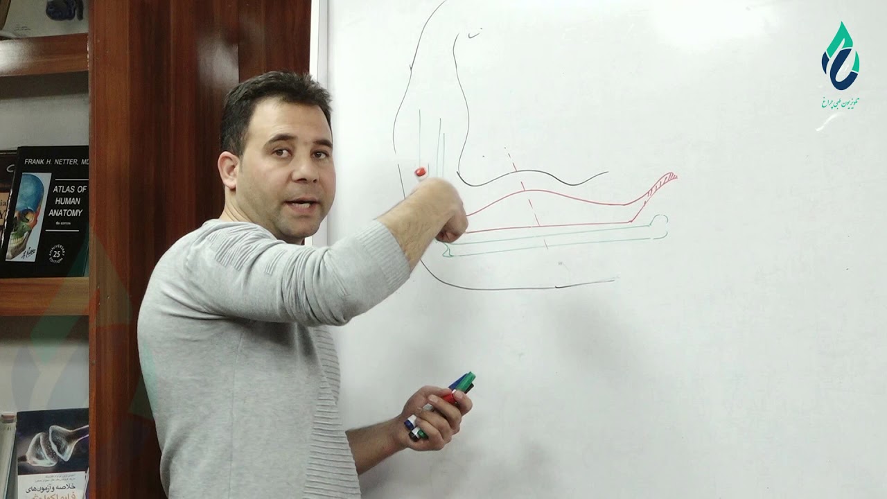 فزیولوژی با داکتر عبدالستار زرداد- موضوع: تقلص عضلات اسکلیتی