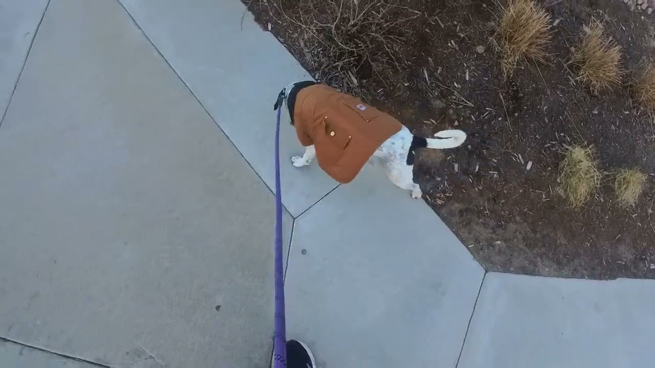 Ramon and Brett Morning Run on Jan. 16, 2026