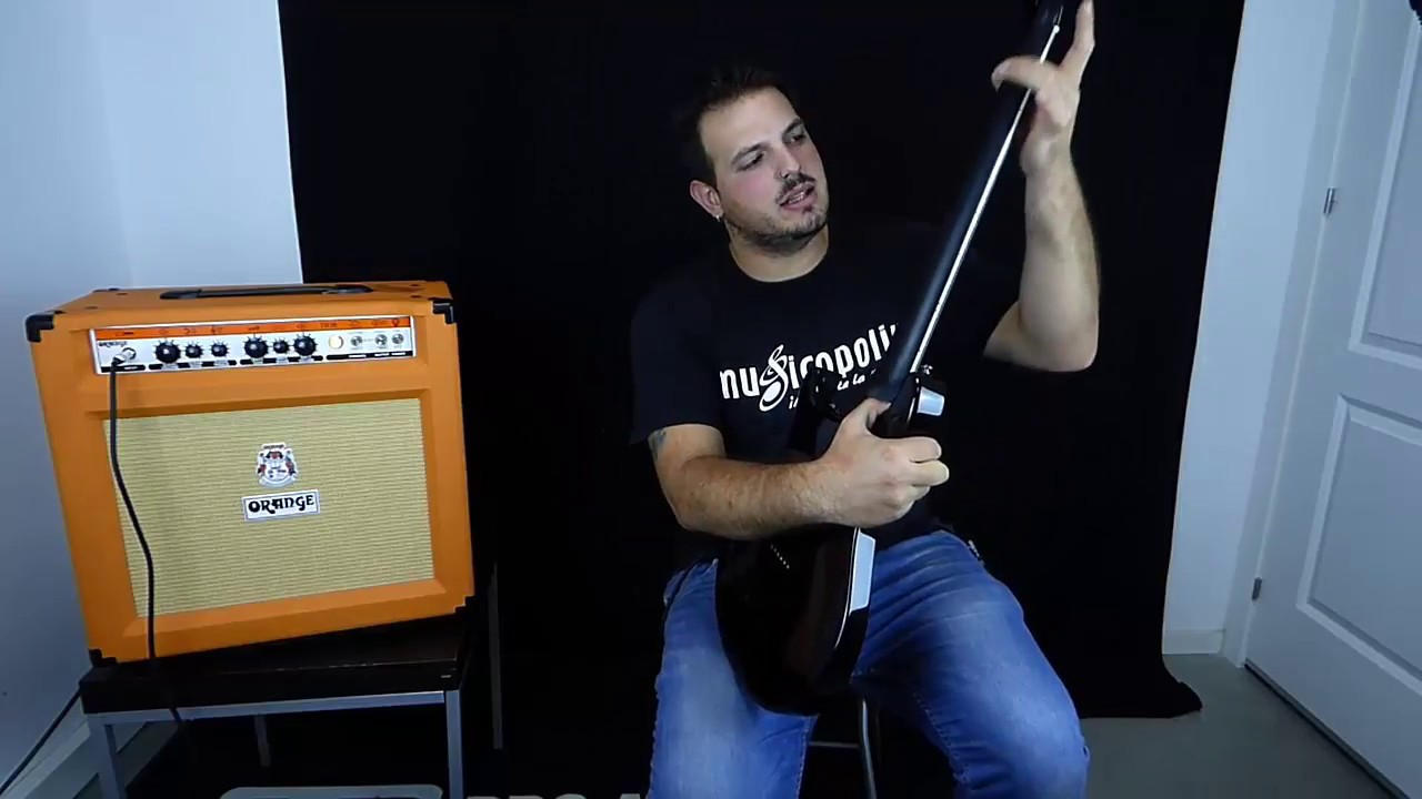 Review PRS SE Mark Holcomb HB 2017