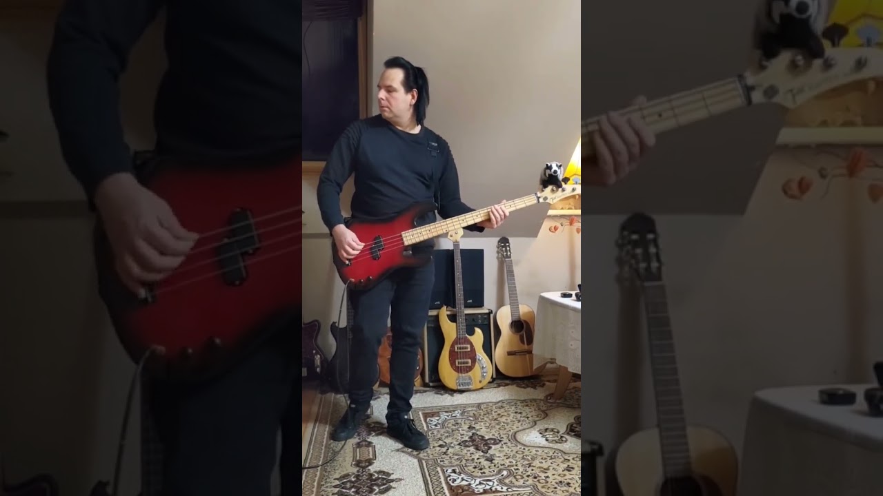 The Agnes Circle-White Gate- bass cover