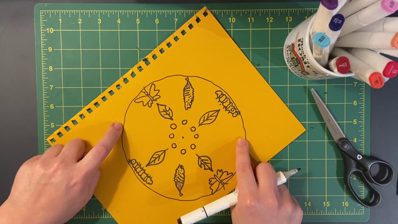 2nd Grade: Radial Symmetry