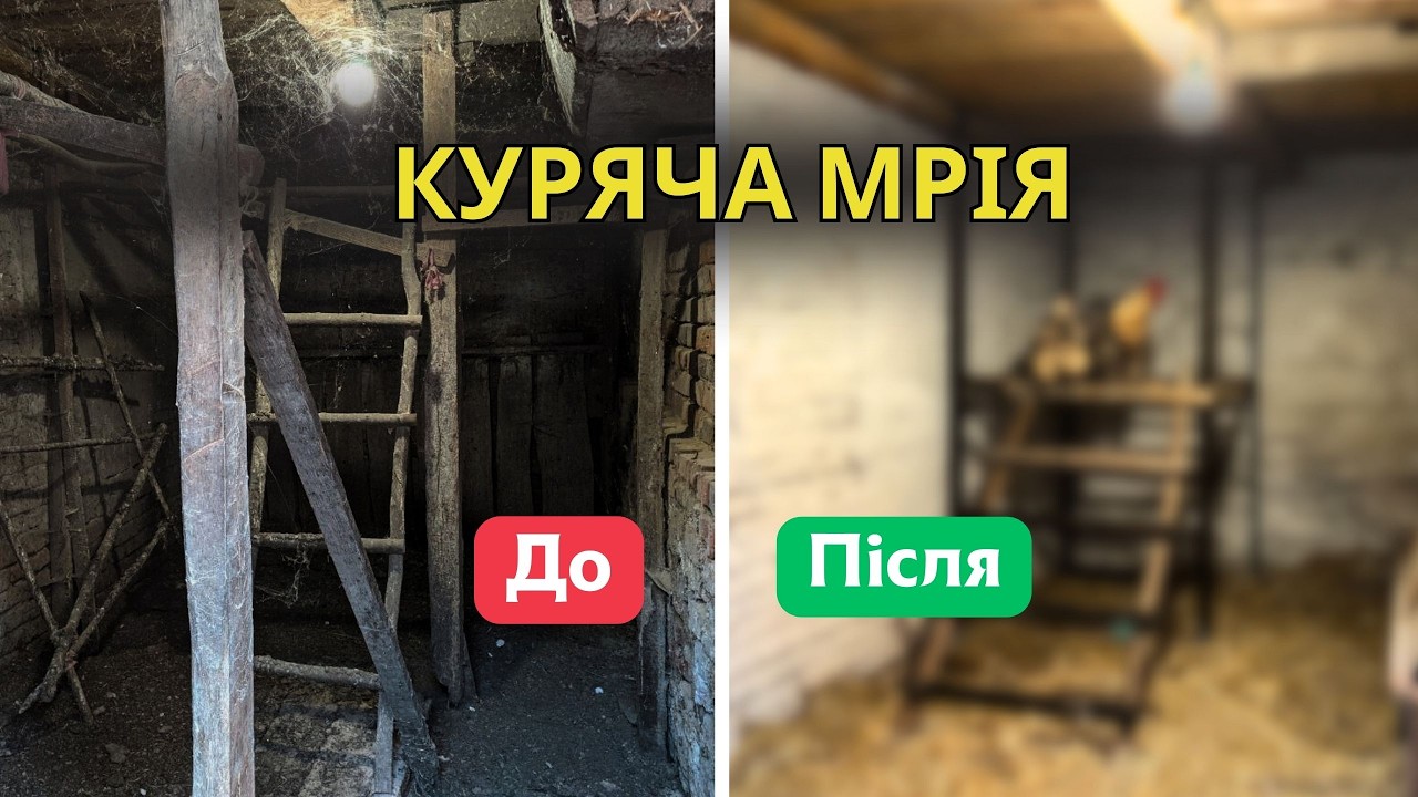 🐔Кури в ШОЦІ 👀  Друге життя для курника! 🔨🐓 Ремонт курника своїми руками @SeloHaLop