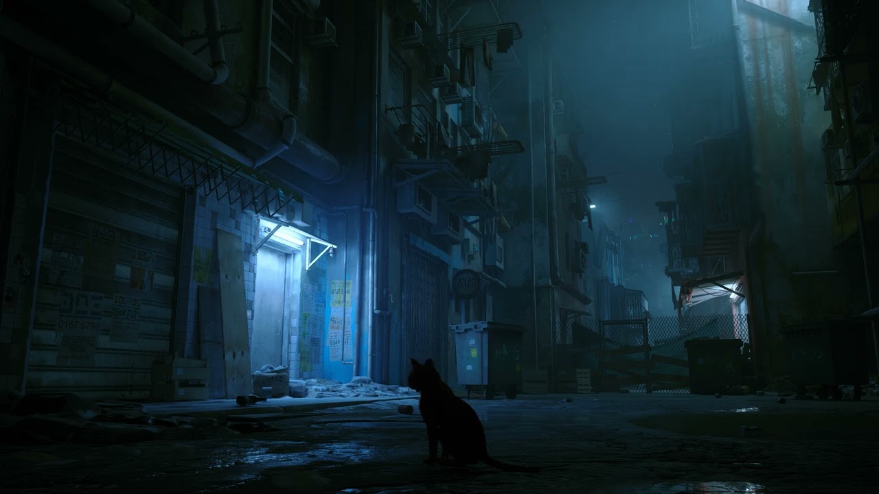 Silence Ambience in the Dead City | Relaxing Stray Cat Exploration