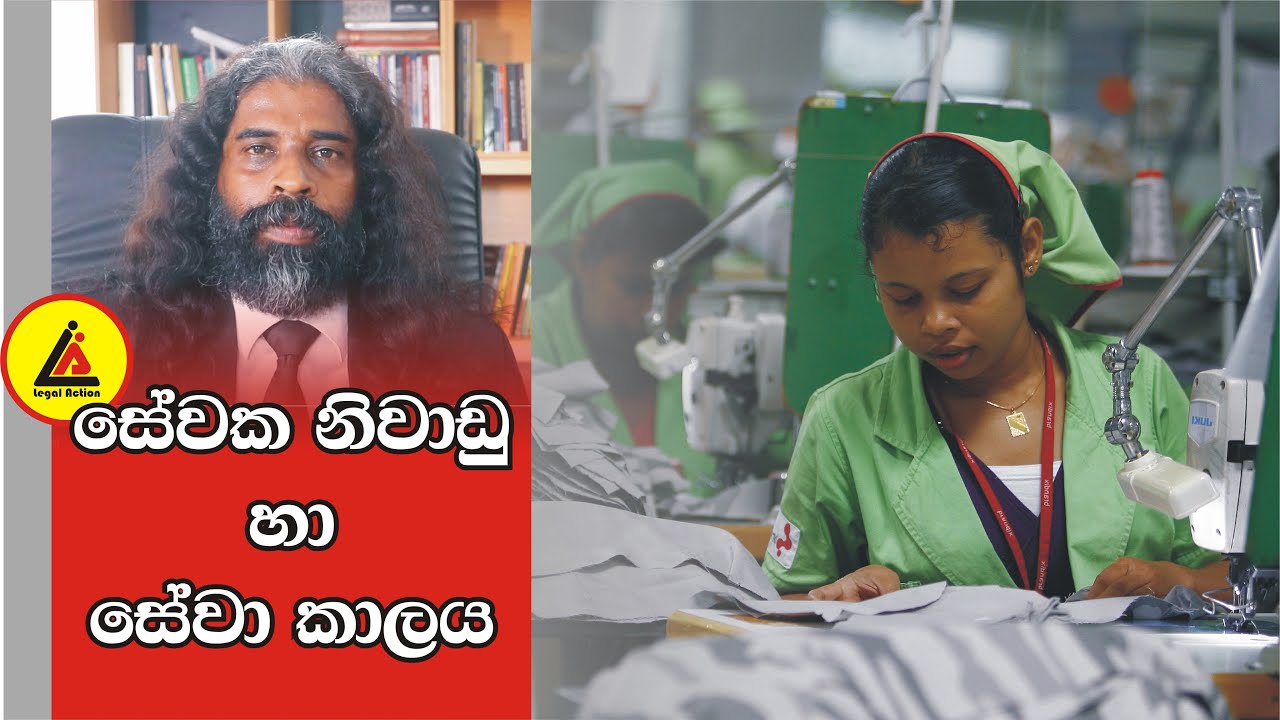 සේවක නිවාඩු හා සේවා කාලය | අපි නොදන්න  Law | Api Nodanna Law | Legal Action