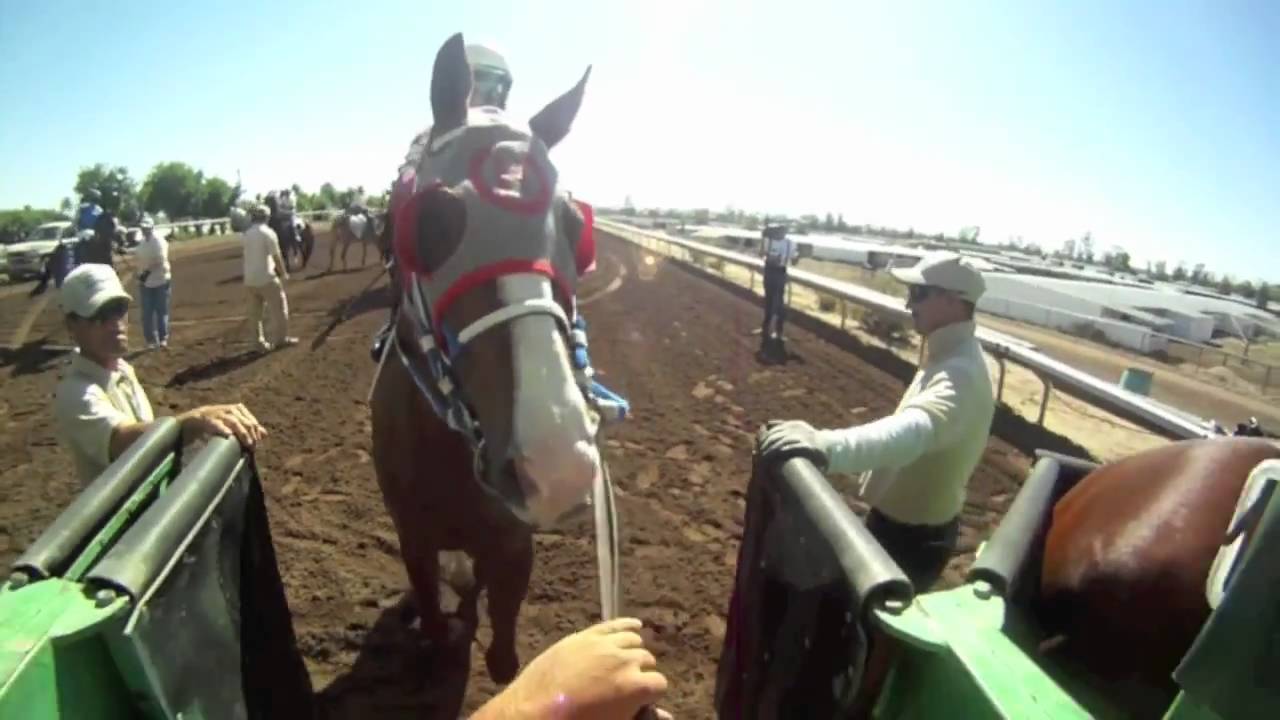 Gate Crew Cam: Big O at the Starting Gate
