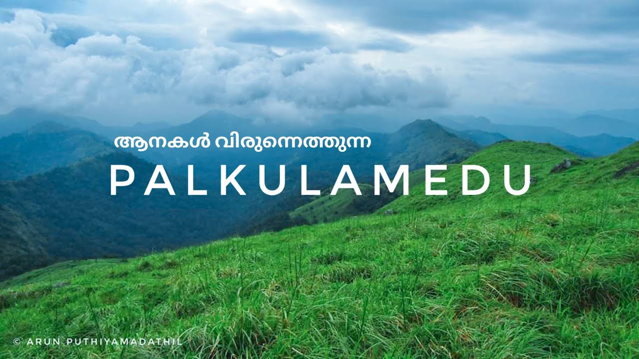 ആനകൾ വിരുന്നെത്തുന്ന പാൽക്കുളമേട് | PALKULAMEDU | IDUKKI TOWNSHIP | BEST TRAVEL SPOT IN KERALA