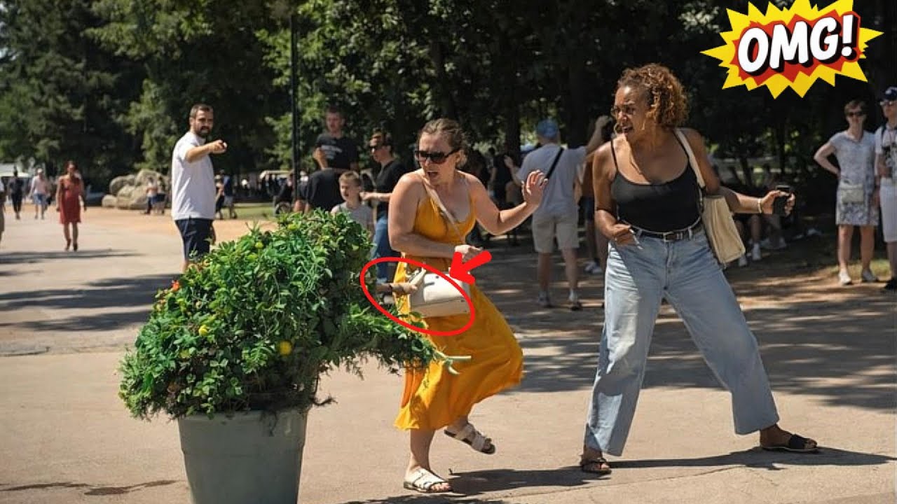 Best Bushman Pranks Funniest Public Reactions You Can’t Stop Laughing At!