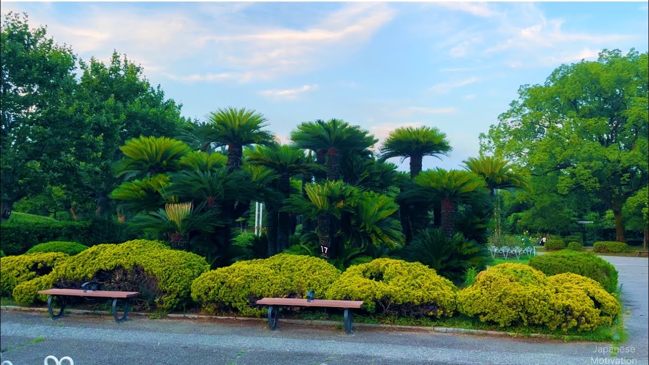 Public Park View JAPAN #traveljapan #beautifuljapan #japanesemotivation