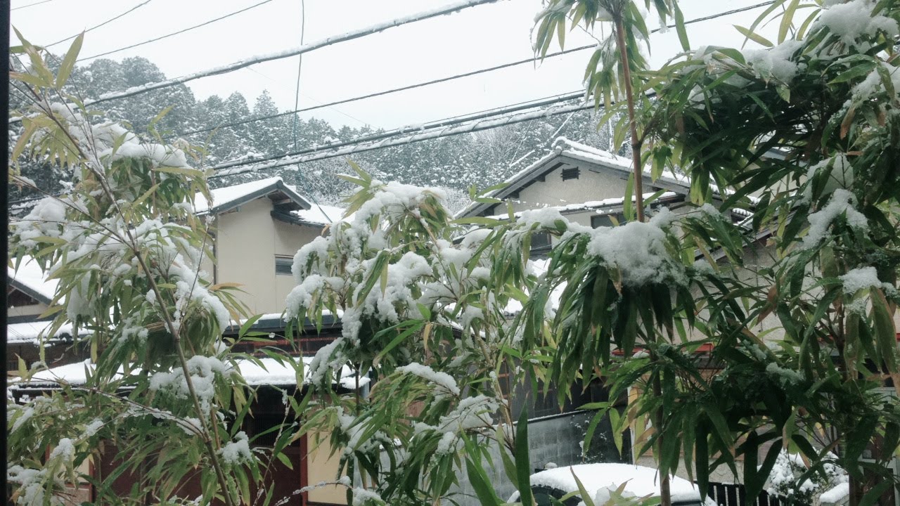 9. Stories from Japanese Gardens: Saihô ji 1