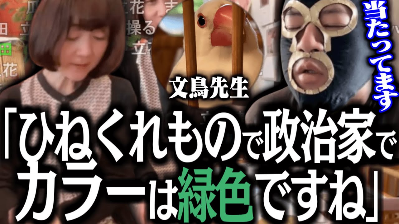 キズナアイも来店した文鳥占い屋で当てられまくる横山緑【2024/4/18】