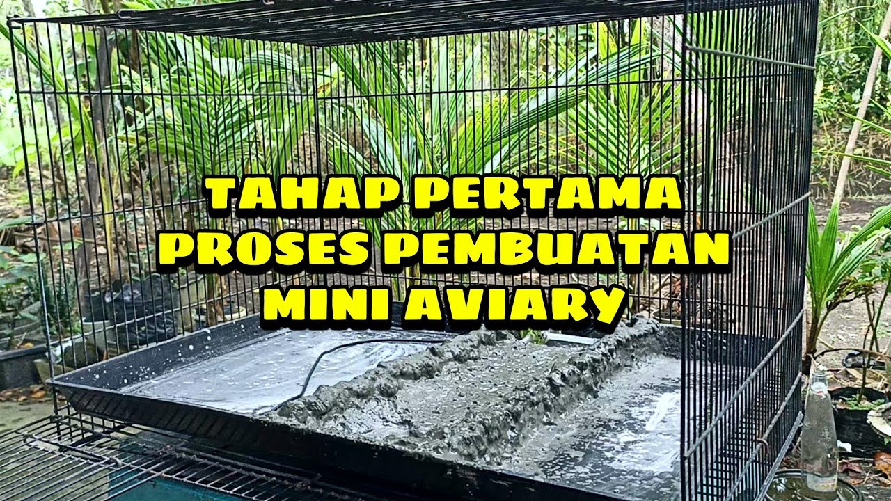 PEMBUATAN MINI AVIARY DENGAN TEMA SUNGAI | PART 1
