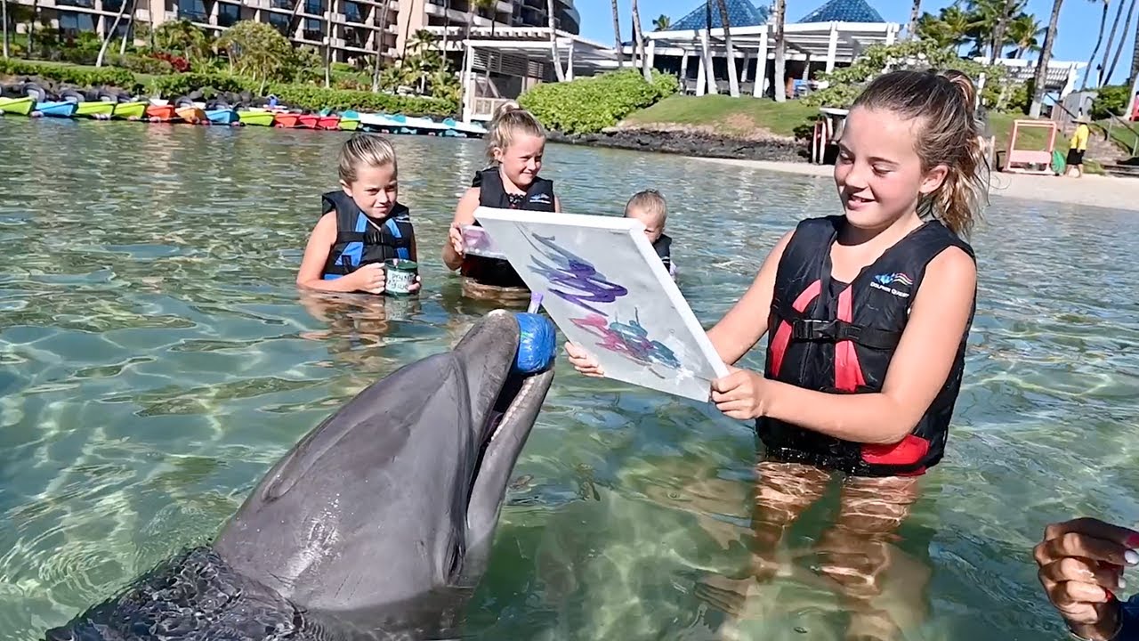 Painting with Dolphins at Dolphin Quest Hawaii with Adventure Family Journal!