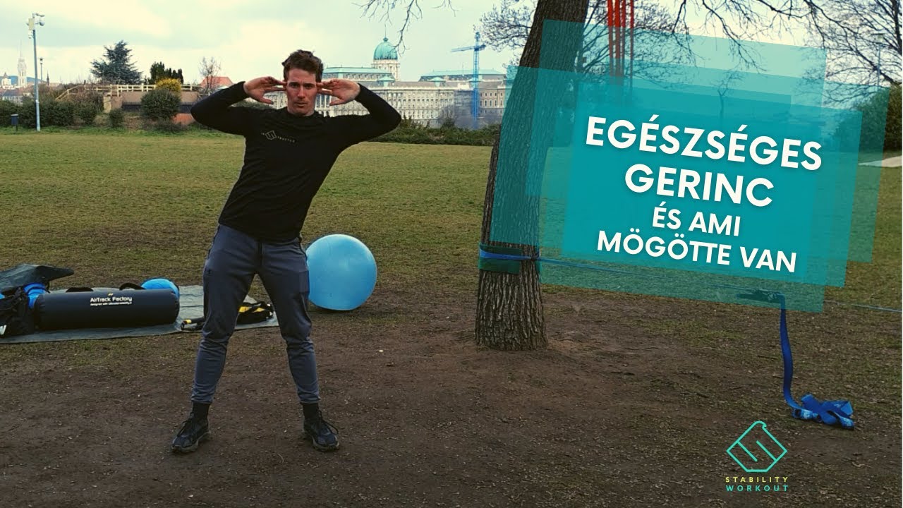 Egészséges gerinc, fájdalommentes mozgás - törzserősítő gyakorlatok: az alapokkal kezdve