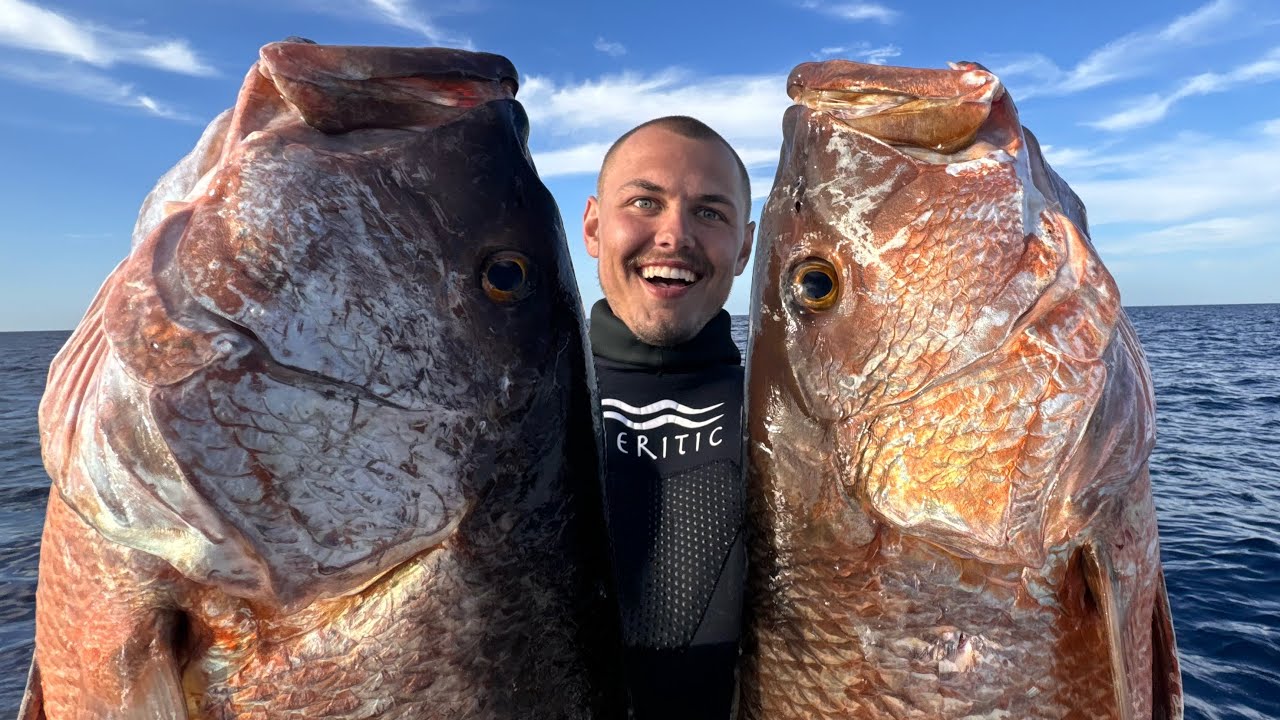 Spearfishing For Cubera Snapper Off Tampa Bay!