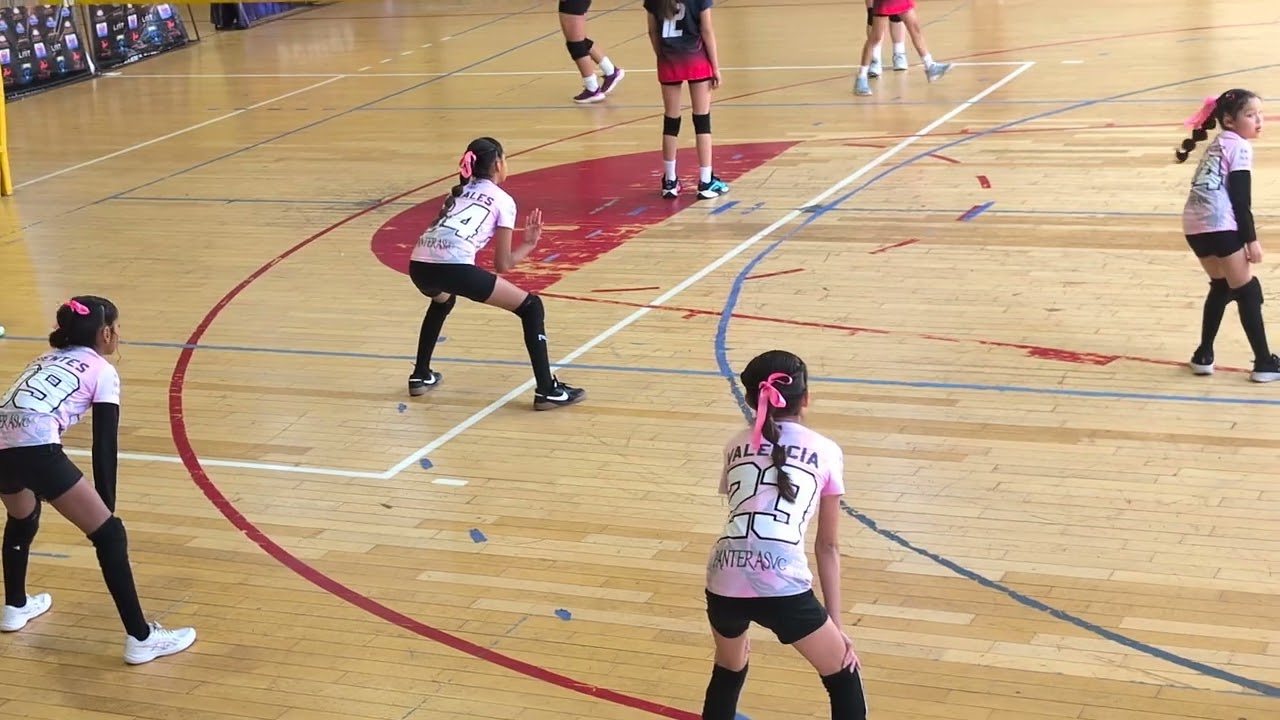 Mini Panters Vs Osos iniciación