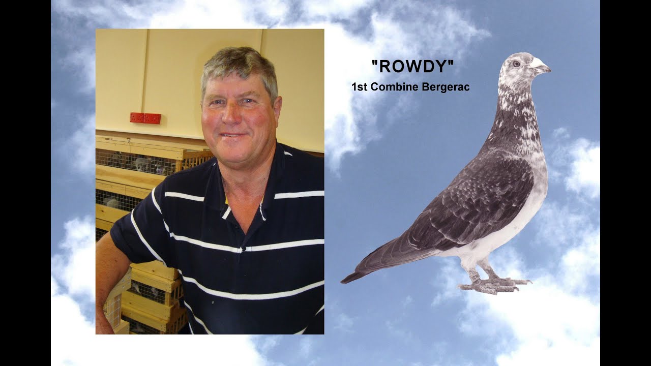 Video 485: Mick & Pauline Worsfold of Bisley: Premier Pigeon Racers