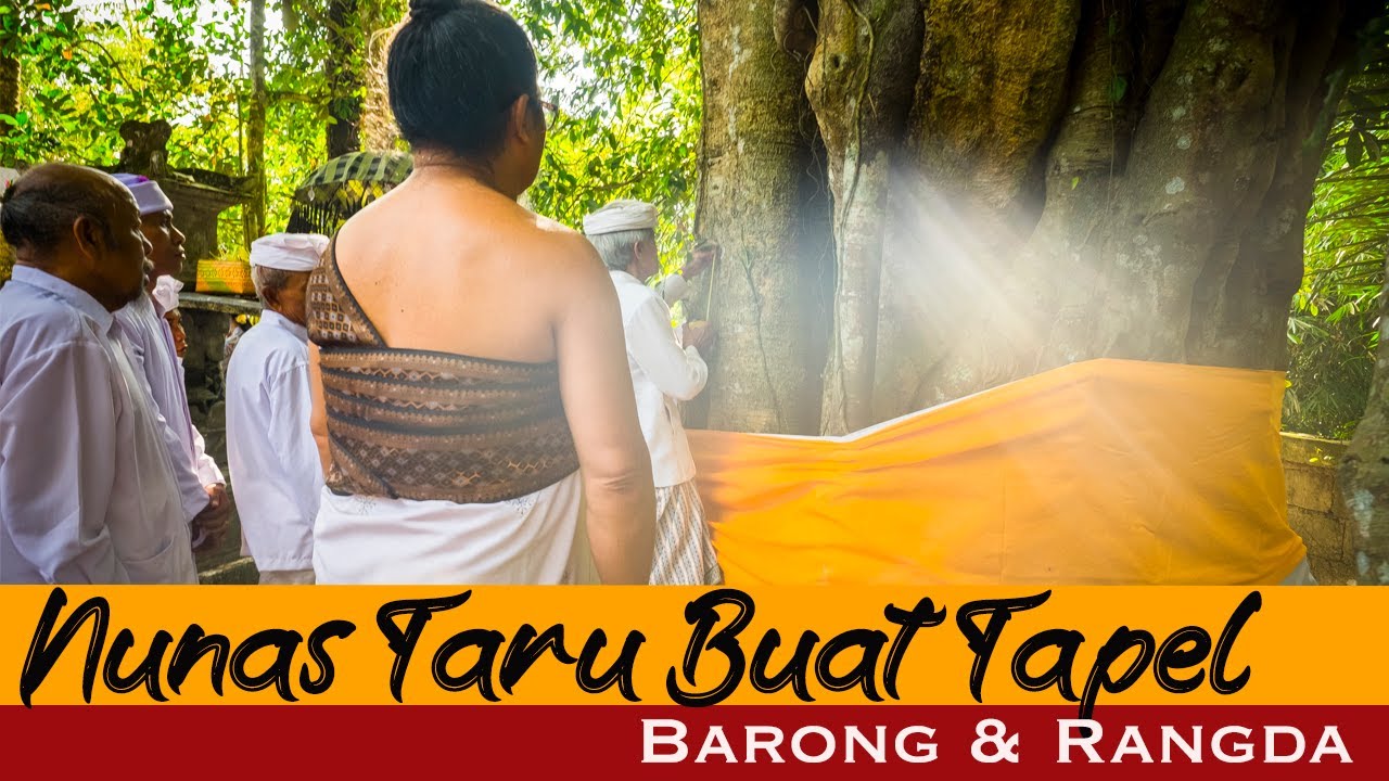 PROSESI SAKRAL Nunas Taru - Untuk Topeng Barong & Randa Diiringi PEED Panjang Menuju Pura